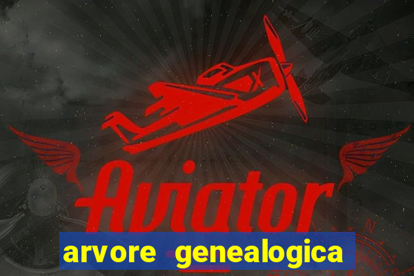 arvore genealogica dos gracie